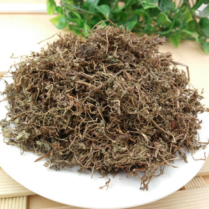 鹅不食草中药材 食胡荽,鹅不食 饿不吃草 500g克包邮