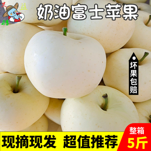 黄金奶油富士苹果新鲜5斤包邮整箱甜脆多汁白苹果富士非冰糖心10