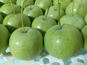 广西山楂果新鲜