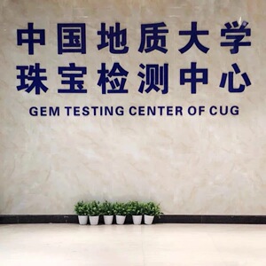 『鑫缘』琥珀蜜蜡中国地质大学鉴定证书专拍