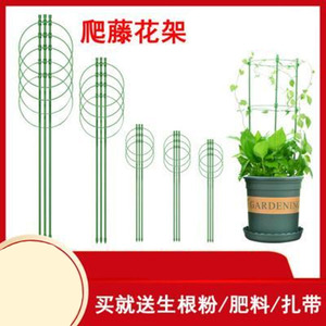 文竹架子支架攀爬客厅绿萝架墙上固定花卉盆景造型支架固定支柱