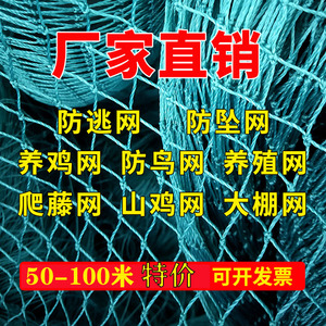 塑料养鸡网家禽养殖网天网拦鸡鸭网山鸡网防护网菜园围栏网尼龙网