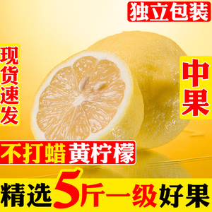 四川安岳黄柠檬一级中果净重5斤新鲜采摘奶茶店酵素原料新鲜包邮