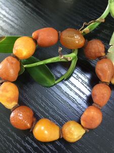 精品海漂脑纹籽料手串颗颗满蜜大小均匀无杂裂