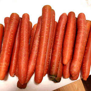 四川胡萝卜新鲜5斤