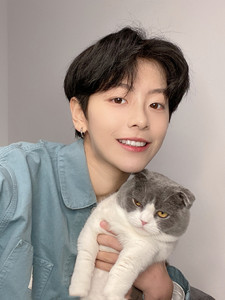 刘梦同款假发网红风自然蓬松中分刘海男短发韩版仿真无痕男生直发