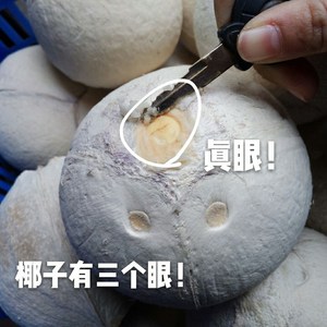椰子6个装送吸管新鲜海南特产抛光白椰皇椰青扒皮椰子椰青青椰子