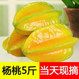 福建漳州甜杨桃5斤香蜜新鲜水果整箱包邮应当季红龙五角星杨阳桃6