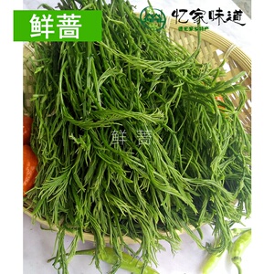 云南臭菜羽叶金合欢500g德宏傣族绿叶宴帕哈炒鸡蛋重口味蔬菜新鲜