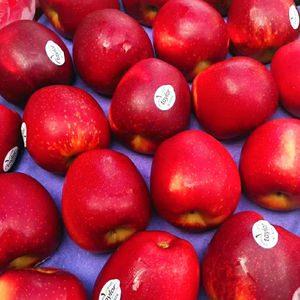 新西兰进口泰勒taylor4122红玫瑰苹果queen10个装脆甜多汁新鲜