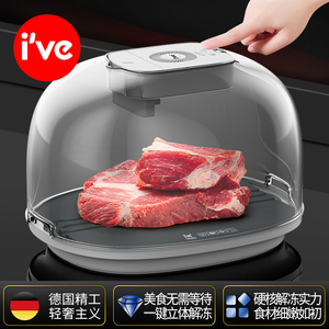 德国ive 解冻神器家用食物恒温快速雾化解冻器牛排冻肉解冻板商用