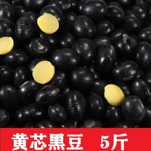 黄芯黑豆5斤农家黄仁大圆黑豆2500g乌皮生黄心豆食用发豆芽打豆浆