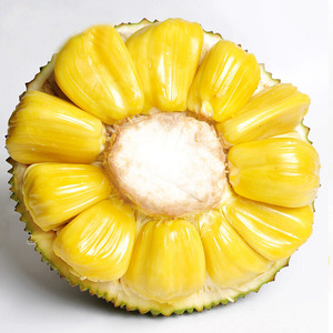 920人付款淘宝海南榴莲蜜俗称尖蜜拉多肉迷你湿包非小菠萝蜜新鲜热带