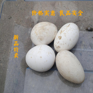红嘴雁蛋 赤嘴鸭蛋 大雁蛋新鲜生雁蛋密云农家放养25枚孕妇宝宝