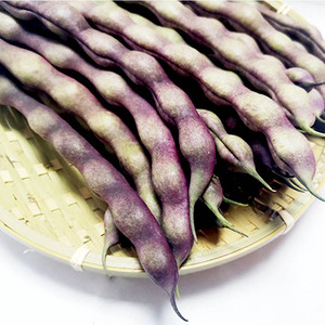 东北大紫袍油豆角紫豆角新鲜蔬菜芸冻死鬼一点红黄金勾5斤长豆角