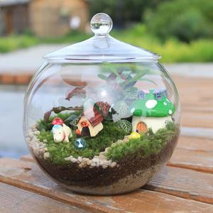 创意带盖苔藓DIY生态瓶多肉植物花瓶 微景观玻璃工艺 办公桌饰品