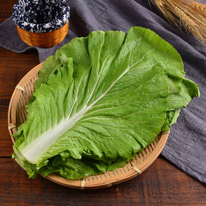 白菜叶饭包 20片 东北特产打包饭白菜叶包饭白菜叶 新鲜 现摘现发