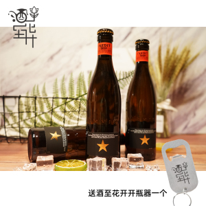 西班牙原装进口精酿啤酒艾帝达姆大星啤酒小瓶330ml*6瓶小星包邮