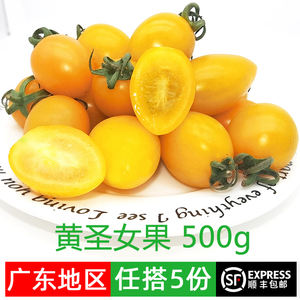黄色圣女果500g新鲜樱桃小番茄孕妇宝宝水果蔬菜生吃 5件顺丰包邮