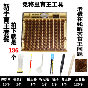 育王盒免移虫针蜜蜂育蜂王快速培育蜂王工具蜂王培育工具育王框