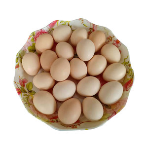 鸡蛋土鸡蛋农家山林散养山西 榆社笨鸡蛋40枚