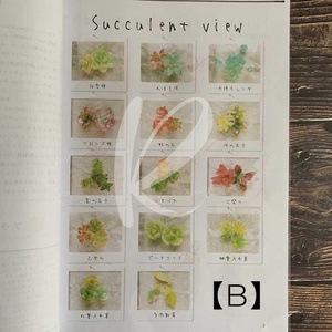 热缩片图案立体热缩片diy套装材料包热缩片纸花型图纸压缩片手工