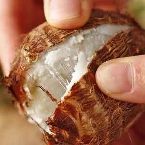 【福建芋头粉】福建芋头粉品牌,价格 - 阿里巴巴