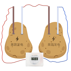 土豆发电钟水果电池 科技小制作发明科学实验材料包幼儿园diy手工