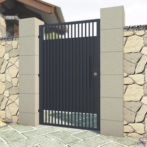铁艺庭院别墅门单双开现代不锈钢花园院子小门户外铁门进户门定制