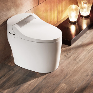 门店同款arrow/箭牌全自动智能马桶一体速热式智能冲洗烘 akb1308