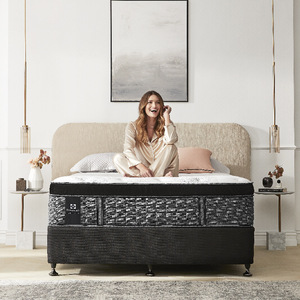 sealy/丝涟床垫 帝轩 澳洲进口 凝胶记忆棉 双人弹簧床垫 门店款