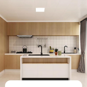 厨房吊顶天花板灯