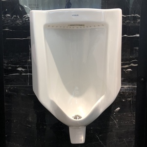 【四里河门店同款】科勒小便器挂墙式带感应器简约实用