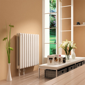 陇星钢制暖气片家用水暖壁挂式散热器集中供暖卫生间暖气片