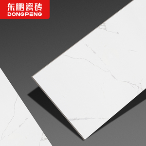 东鹏瓷砖 昆仑灰 客厅地砖瓷砖地板砖800x800全抛釉现代简约防滑