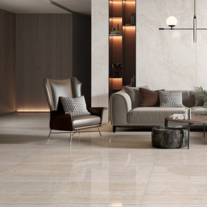 金意陶瓷砖800x800客厅