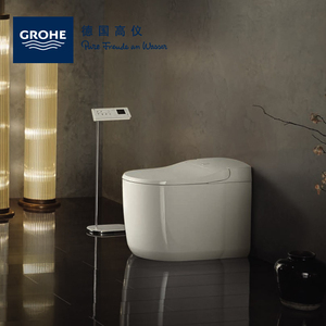 高仪智能马桶雅瑞娜