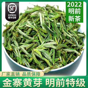 2022新茶金寨黄芽明前特级250g六安黄芽大别山黄芽茶叶礼盒装