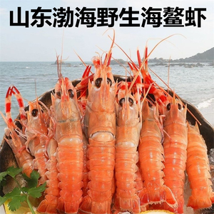 新鲜海螯虾国产鲜活冷冻刺身生吃海鳌虾非进口新西兰海龙虾