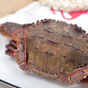 野生大黑虎蟹1斤1只肉质结实金刚蟹螃蟹腿肉健壮东山海鲜活冻黑蟹