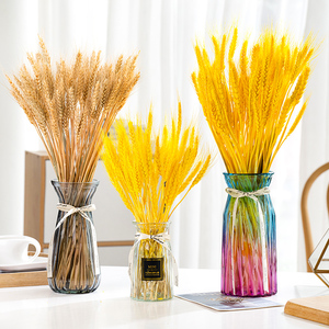 创意透明玻璃花瓶天然麦穗干花插花瓶网红客厅摆件装饰拍摄道具