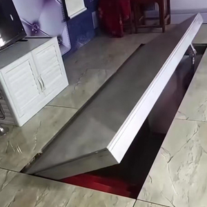 地下室隐藏门地窖门密室门暗门电动隐形门自动门