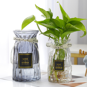 养花玻璃瓶水培水养