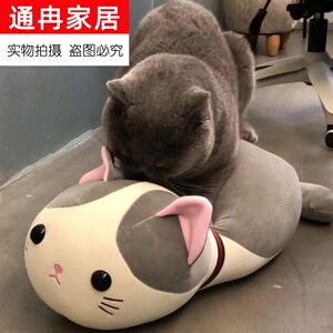 母猫发情期发泄玩具