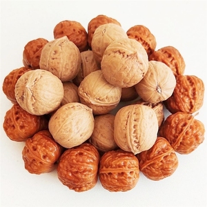 小秋子散籽野生