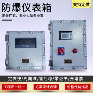 防爆温控仪表箱配电控制柜变频器带按键电表箱数显电伴热防爆空箱