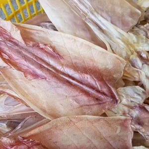 南澳半湿鱿鱼自晒野生尤鱼干 无盐 海产品干货海鲜枪乌贼芥末管鱿