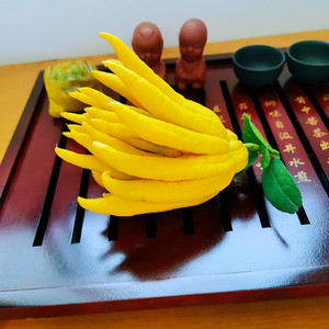【中大佛手】金华佛手鲜果佛手柑新鲜佛手瓜金佛手香橼果带枝水养