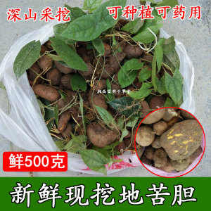 新鲜地苦胆金果榄山慈姑九牛胆九莲子九龙胆金果榄野生新鲜中药材