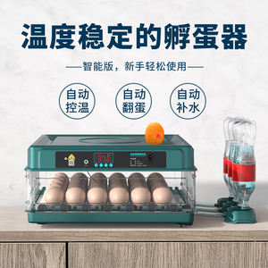 孵化器小型全自动孵化机家用型智能孵蛋器芦丁小鸡鹌鹑鸭鹅孵化箱